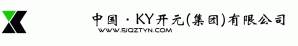 中国·KY开元(集团)有限公司